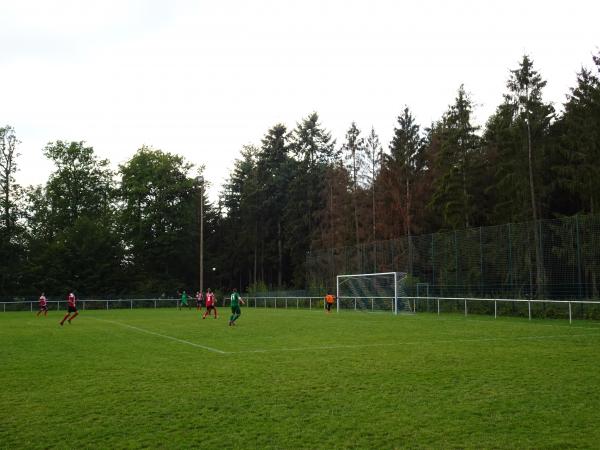Waldsportplatz - Waldems-Esch
