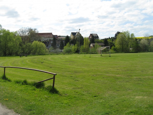 Leinestadion B-Platz - Freden/Leine