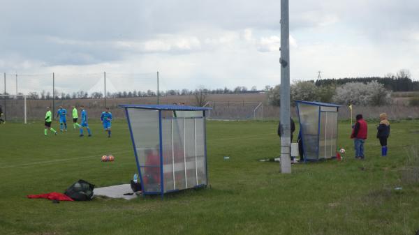 Boisko w Wojcieszyce - Wojcieszyce