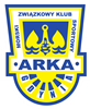 Wappen Arka Gdynia 