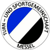 Wappen TSG 1877 Messel diverse  75986
