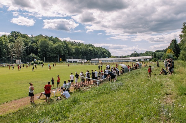 Sportplatz Reichenbacher Straße - Reichenbach/Vogtland-Mylau