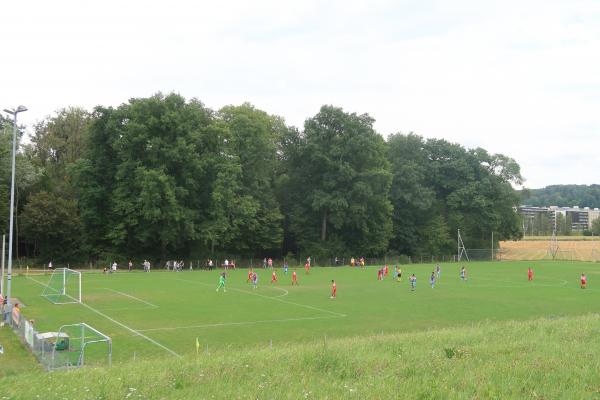 Sportplatz Hönggerberg Platz 2 - Zürich