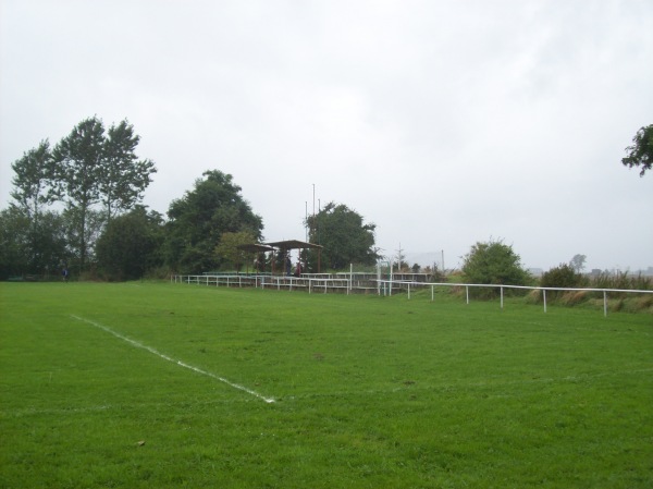 Stadion Gminny w Wrzosowie - Wrzosowo