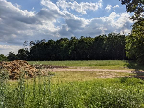 Sportplatz am Eisenberger Wald - Wattenheim/Pfalz