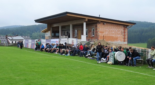 Viehbergarena - Sandl
