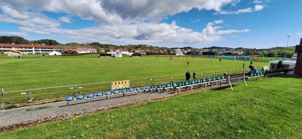 Sakkestad gras - Haugesund