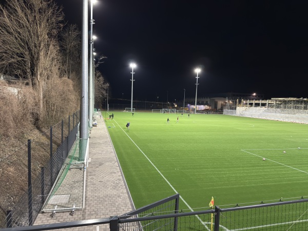 Sportanlage Rheinwiese Platz 5 - Schaan