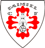 Wappen Daimiel Racing CF