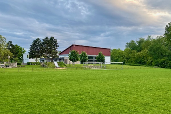 Waldstadion Nebenplatz - Sasbach/Kaiserstuhl
