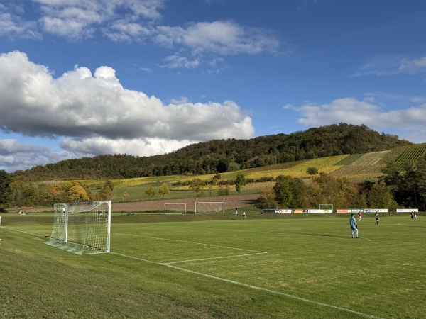 Sportgelände am Sebastianihaus - Oberschwarzach