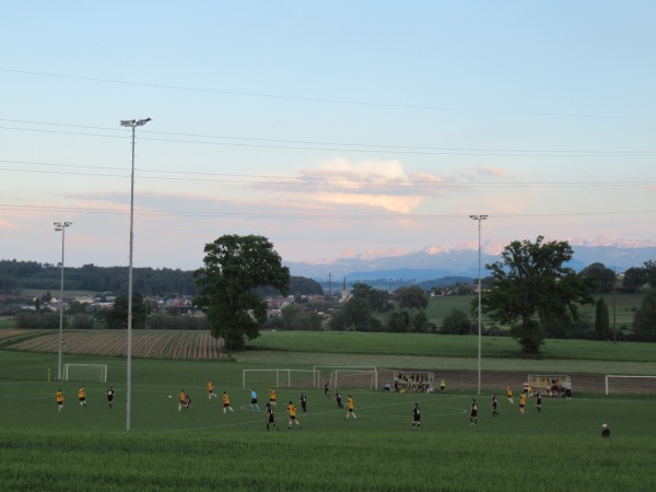 Terrain des Trois Chênes - Cressier FR