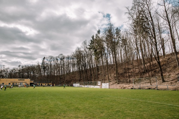 Sportplatz Plexgrund - Lichtentanne-Schönfels