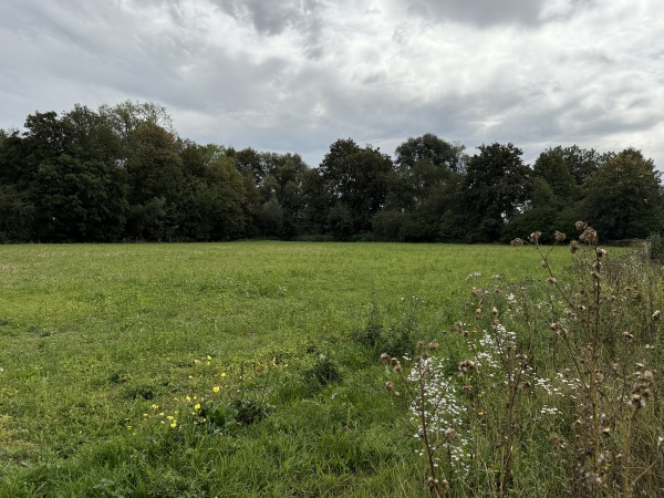 Sportanlage Augsburger Straße Platz 2 - Donauwörth