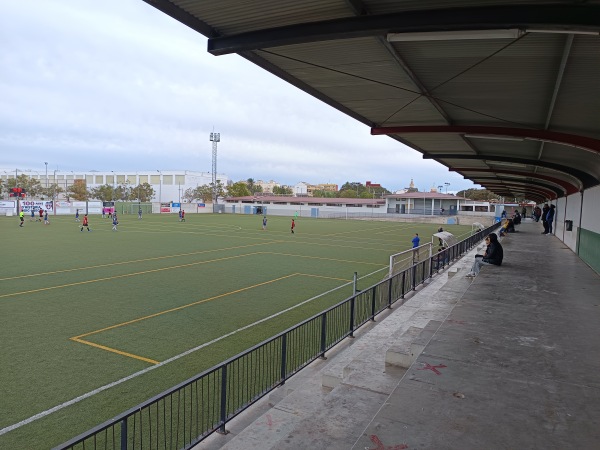 Camp del Pla II - Alcácer (Alcàsser), VC