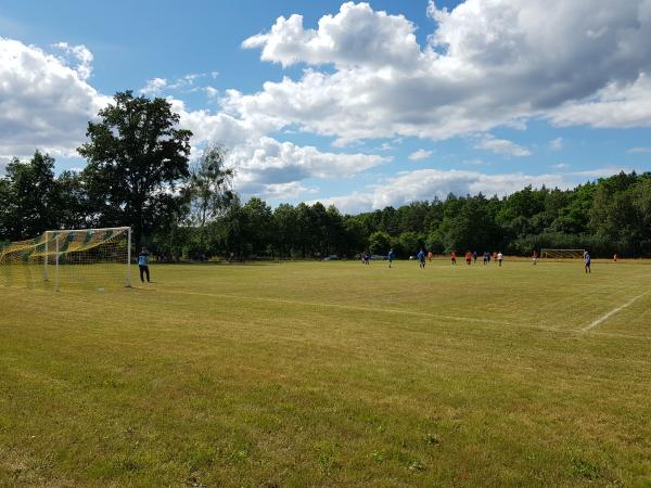 Boisko w Sosny - Sosny, Witnica