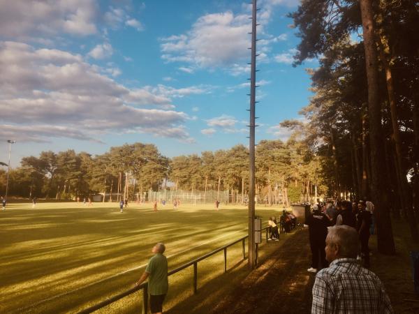 Sportanlage Waldstraße - Waldplatz - Eisenhüttenstadt
