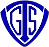 Wappen TGSV Holzhausen 1879  61579