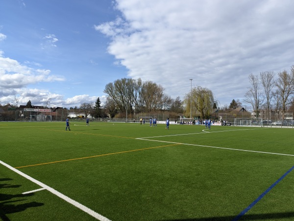 Krebsbachstadion Nebenplatz - Freiburg/Breisgau-Waltershofen