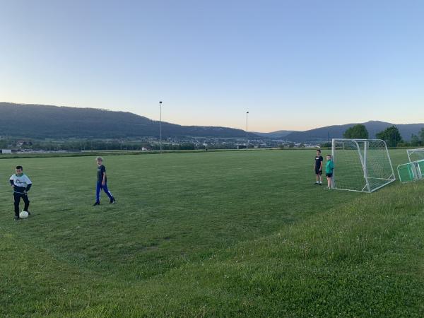 Centre Sportif de Courtételle terrain annexe 2 - Courtételle