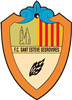 Wappen FC Sant Esteve Sesrovires