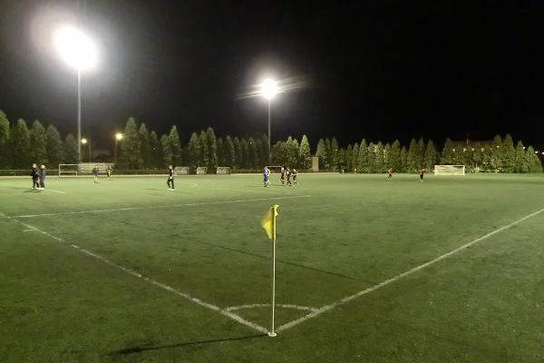 Stade Jean Jaurès - Bron