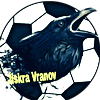 Wappen TJ Jiskra Vranov  82527