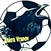Wappen TJ Jiskra Vranov