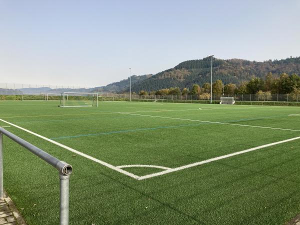 Bahndammstadion Nebenplatz - Biberach/Baden