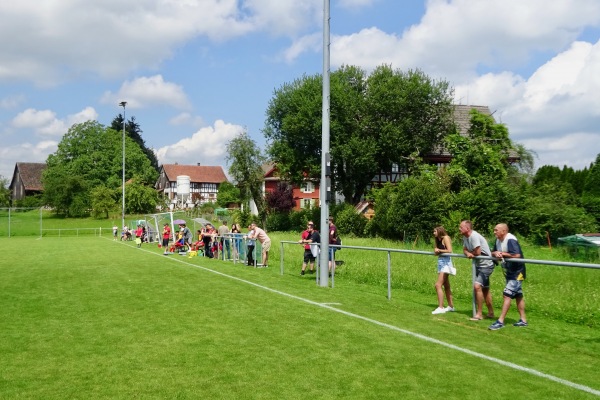 Sportplatz Sternen - Richterswil