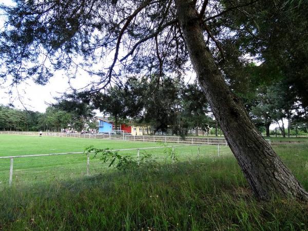 Sportkomplex Lerchenfeld - Coswig/Anhalt