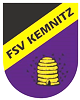 Wappen FSV Kemnitz 1991 diverse