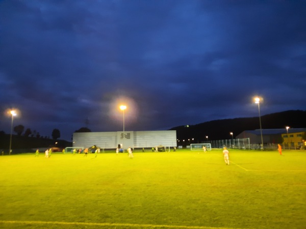 Sportanlage Gastager Feld Platz 2 - Siegsdorf