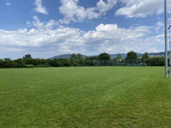 Sportanlage Zelgli Platz 3 - Schlieren