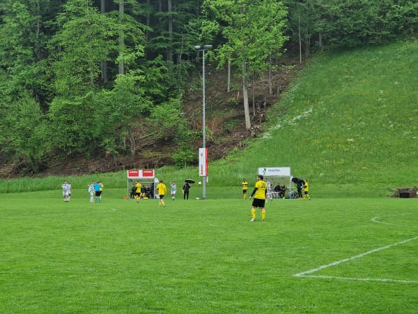 Sportplatz Oberstufenzentrum - Necker