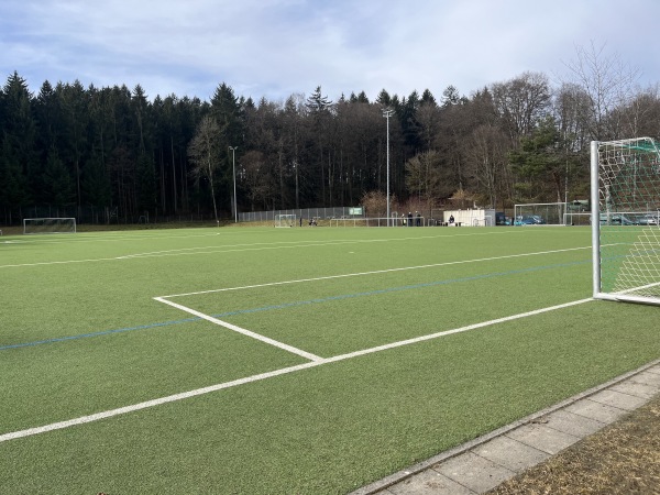 Waldsportpark Platz 2 - Ebersberg