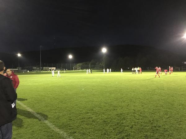 Sportanlage Hoher Sand Platz 2 - Tegernheim