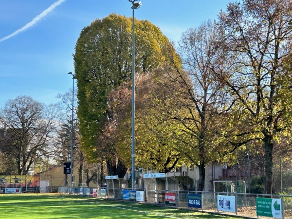 Sportplatz Bühl - Schaffhausen