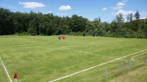 Waldsportplatz - Borken/Hessen-Freudenthal