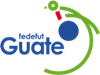 Federación Nacional de Fútbol de Guatemala