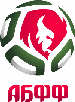 Football Federation of Belarus 