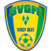 Saint Vincent and the Grenadines Football Federation