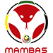 Fédération du Mozambique de football