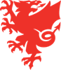 Football Association of Wales