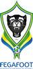 Fédération Gabonaise de Football